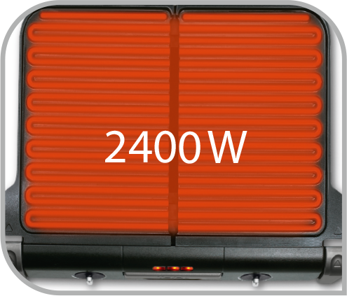 FAMILY FLAVOR GRILL 2EN1