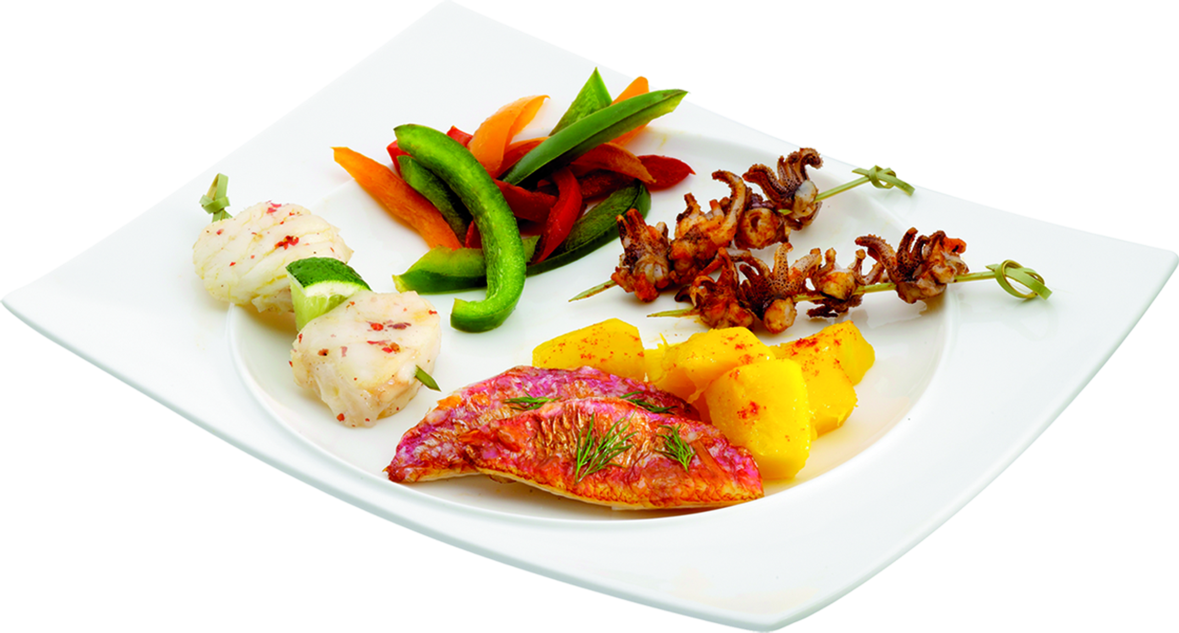 RACLETTE PLANCHA GRIL SIMPLY INVENTS