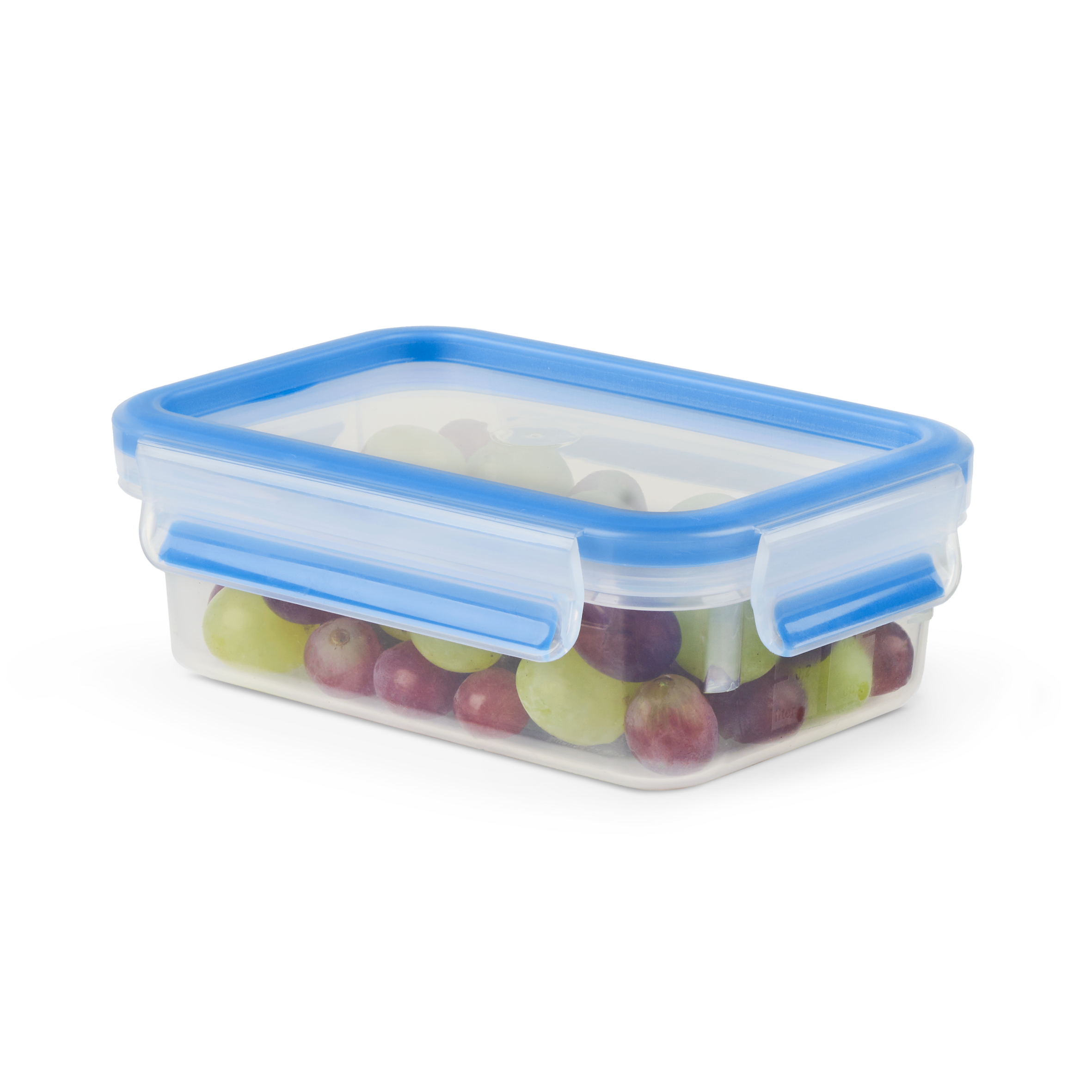 MASTERSEAL FRESH rectangulaire 0,55 L