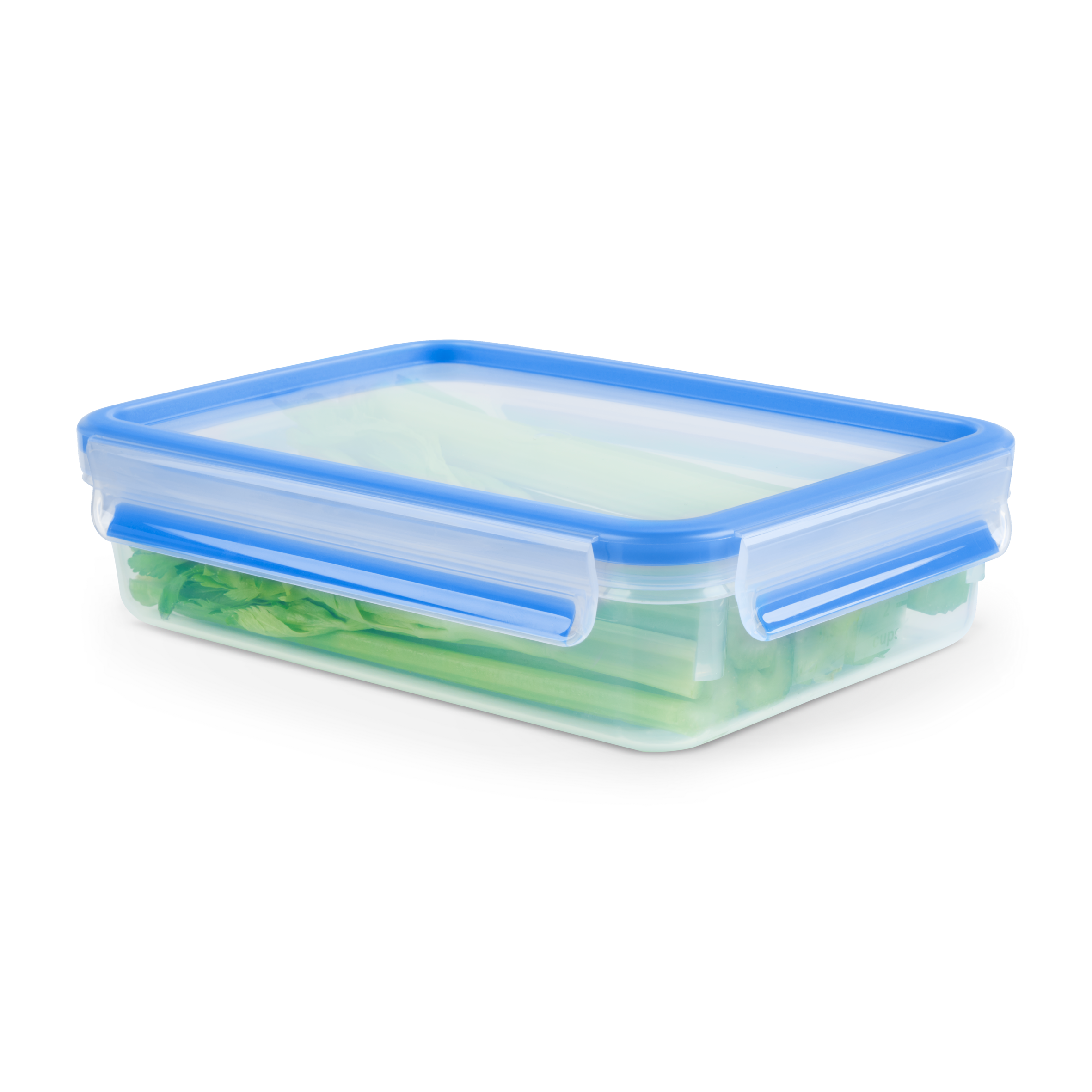 MASTERSEAL FRESH Boîte de conservation alimentaire