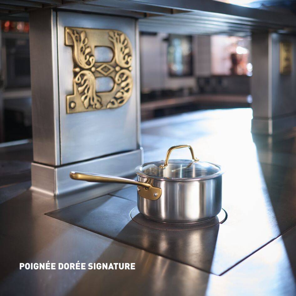 Tefal & Bocuse, Faitout de 24&nbsp;cm avec couvercle en verre, Acier inoxydable sans revêtement