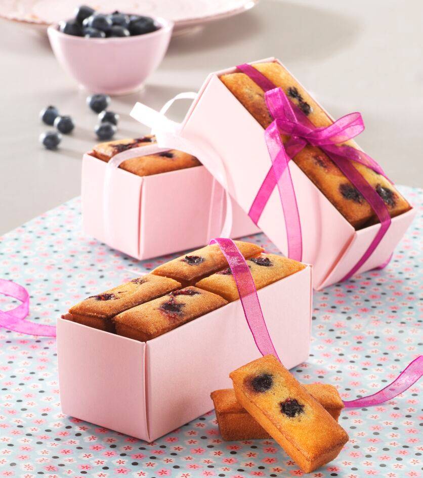 2 plaques Financier Snack Collection XA8113F0