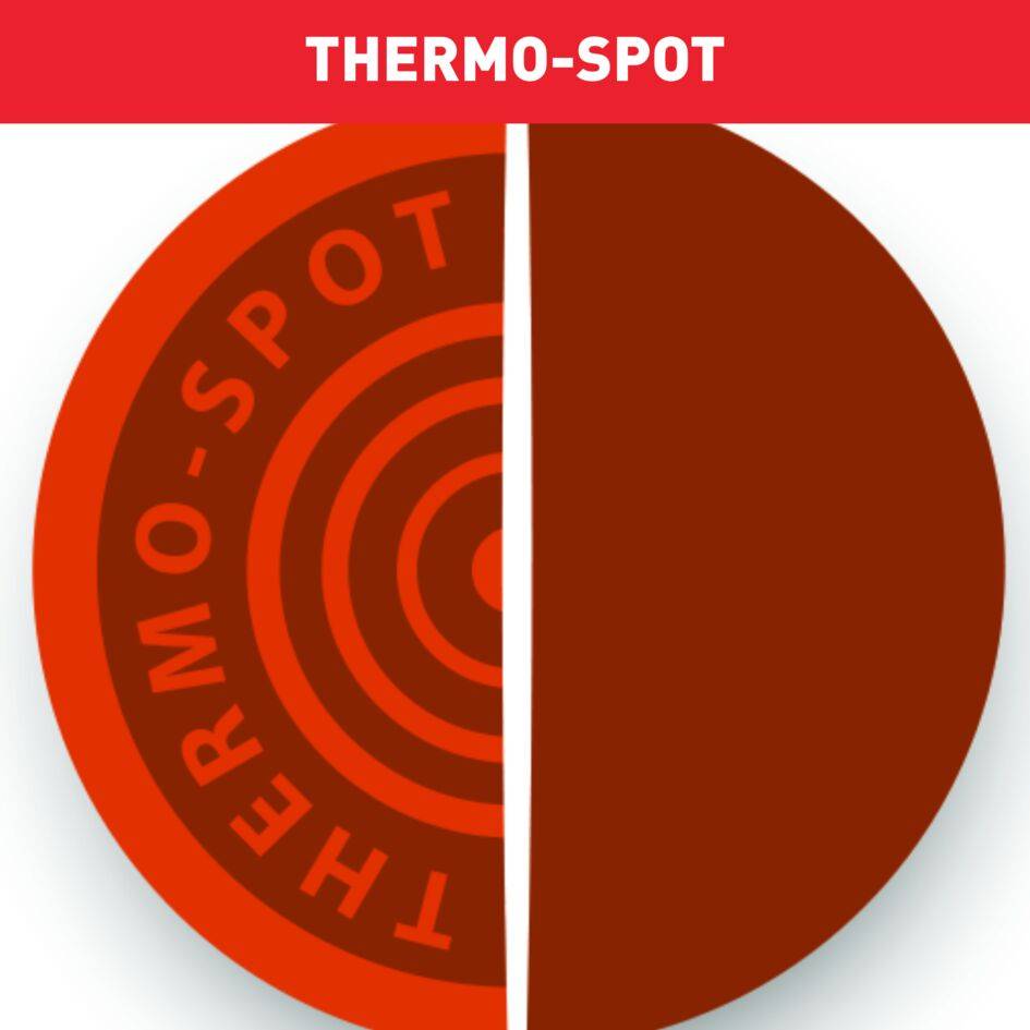Gourmet Inox et Design, Appareil à raclette et gril, Antiadhésif, 10 personnes 