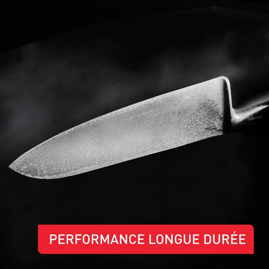 Precision Couteau d'Office 12 cm
