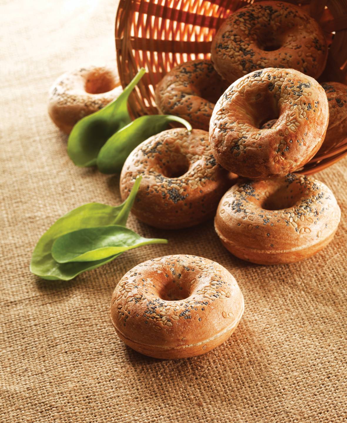 Plaques Snack Collection Donuts XA801112