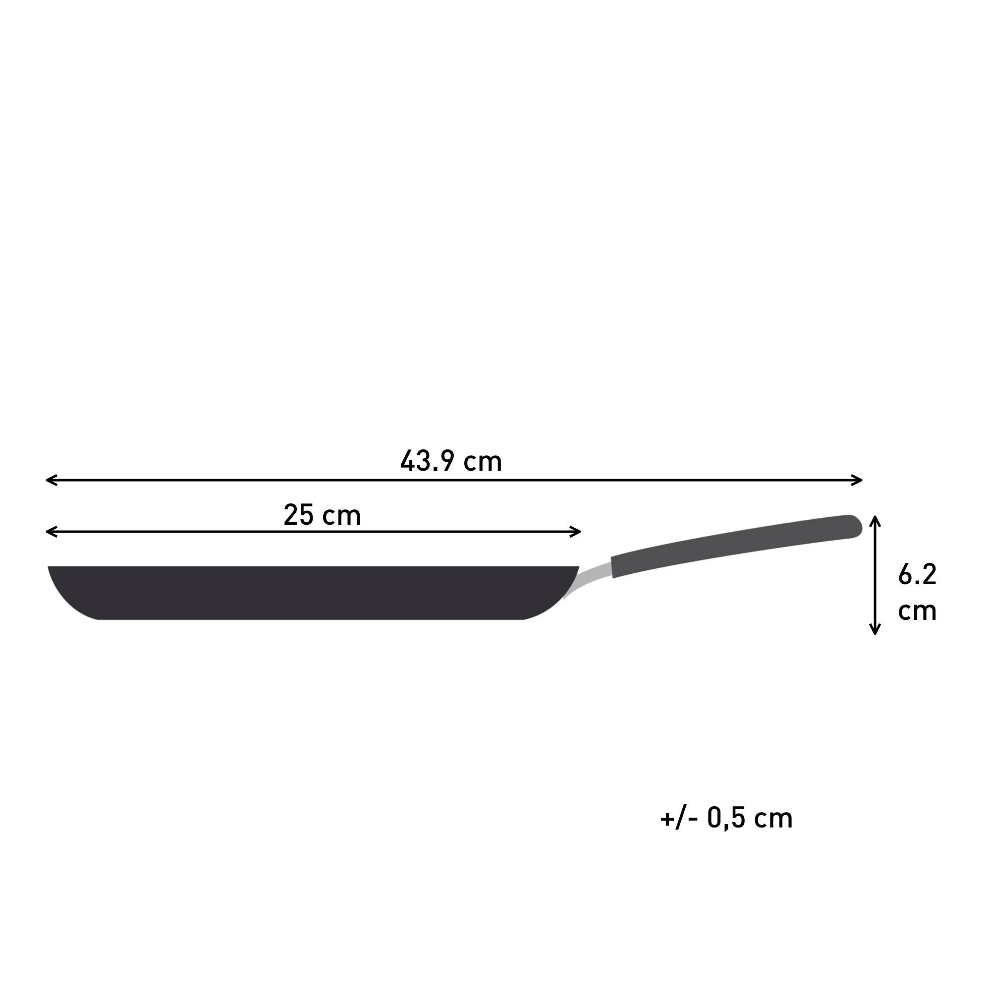 Chandeleur&nbsp;2026, Poêle à crêpes 25&nbsp;cm, Revêtement antiadhésif, Cuisson homogène