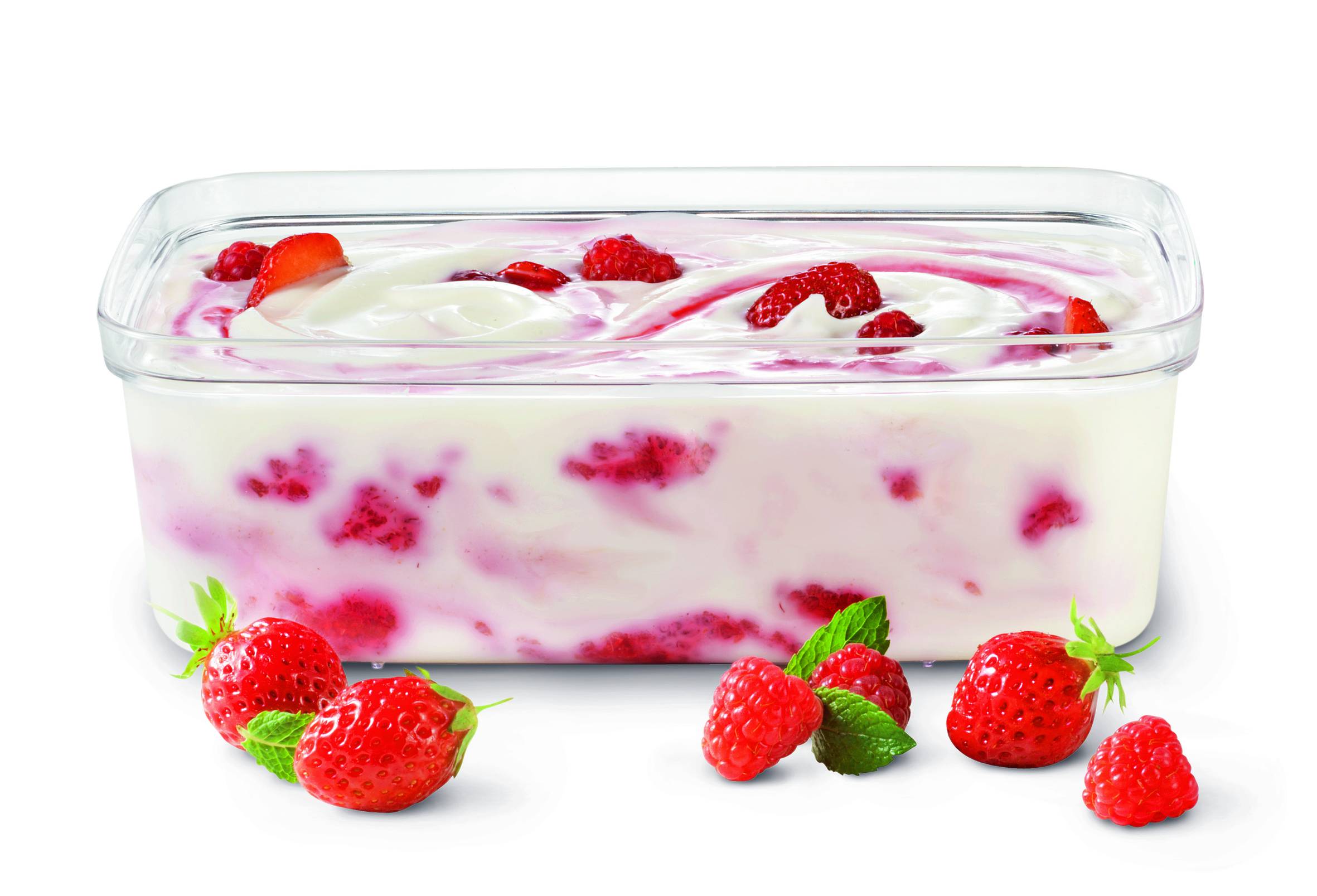 Bac 1 litre pour yaourt XF101001