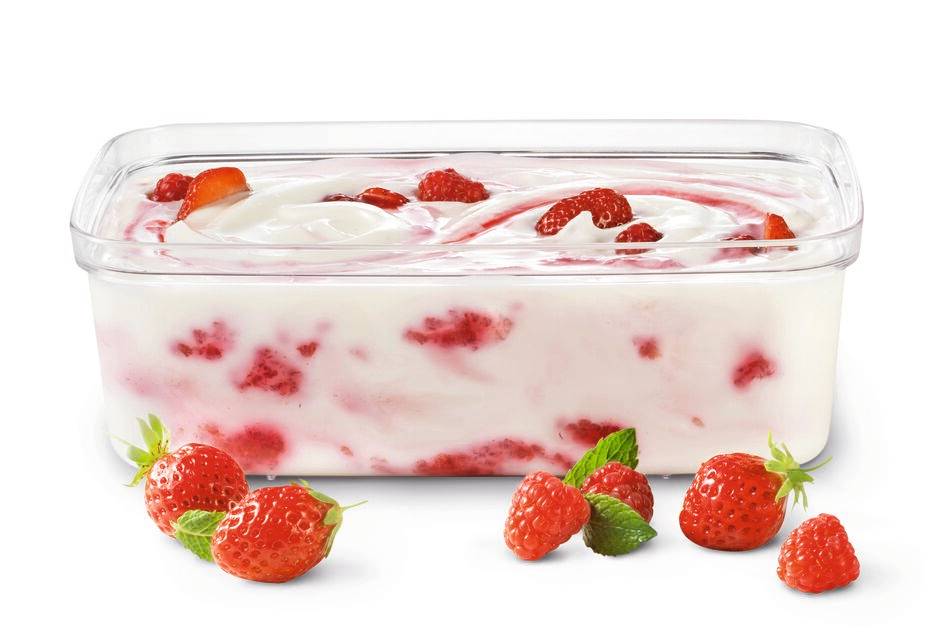 Bac 1 litre pour yaourt XF101001