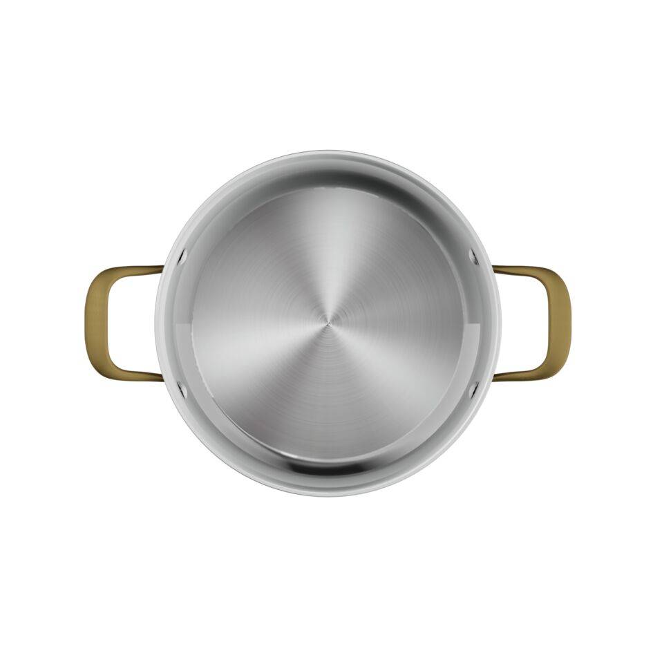 Tefal & Bocuse, Faitout de 24&nbsp;cm avec couvercle en verre, Acier inoxydable sans revêtement