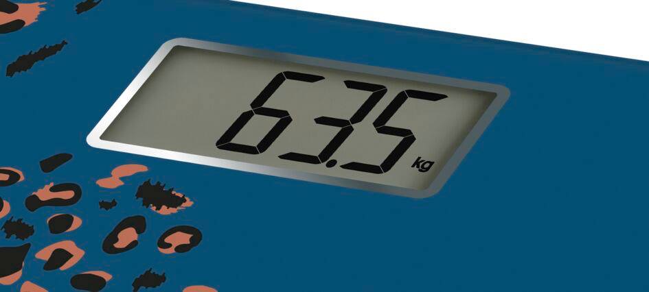 CLASSIC "Jungle Collection"