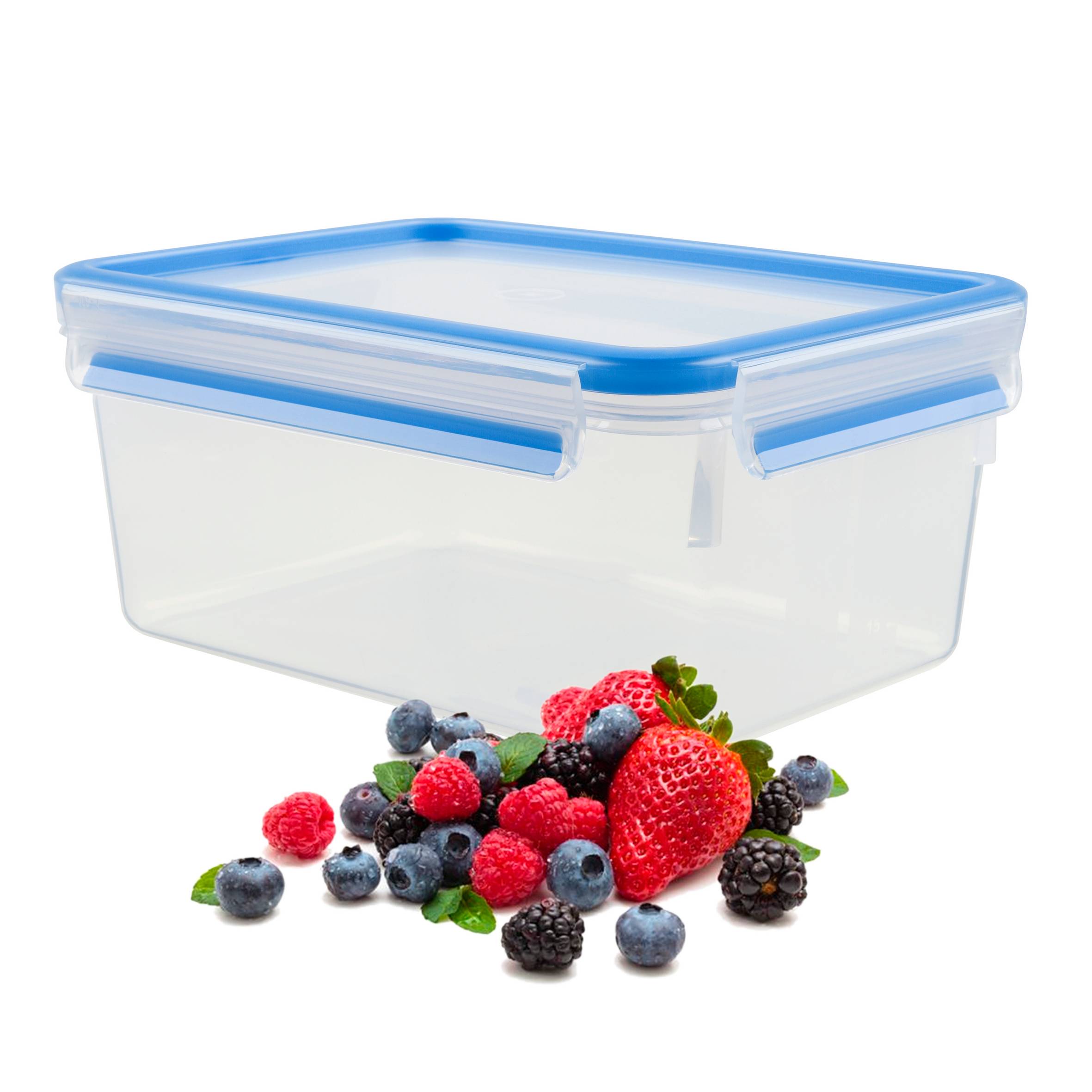 MASTERSEAL FRESH Boîte de conservation alimentaire