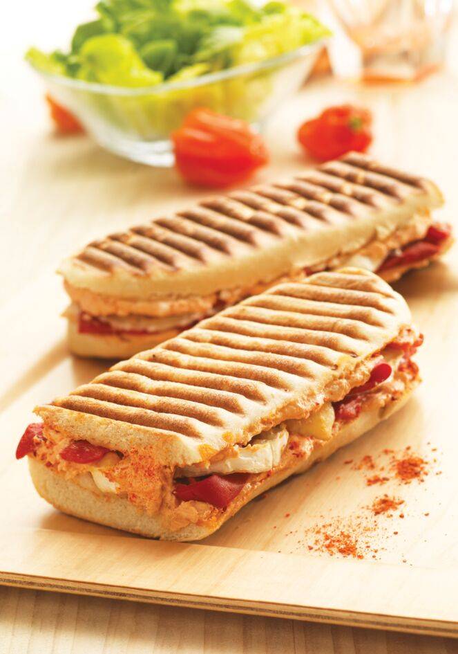 2 plaques Panini Snack Collection XA8103F0