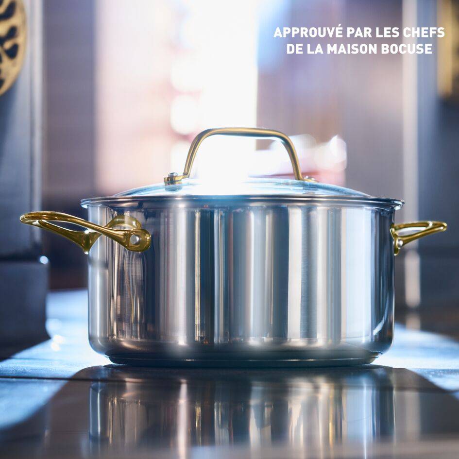 Tefal & Bocuse, Faitout de 24 cm avec couvercle en verre, Acier inoxydable sans revêtement