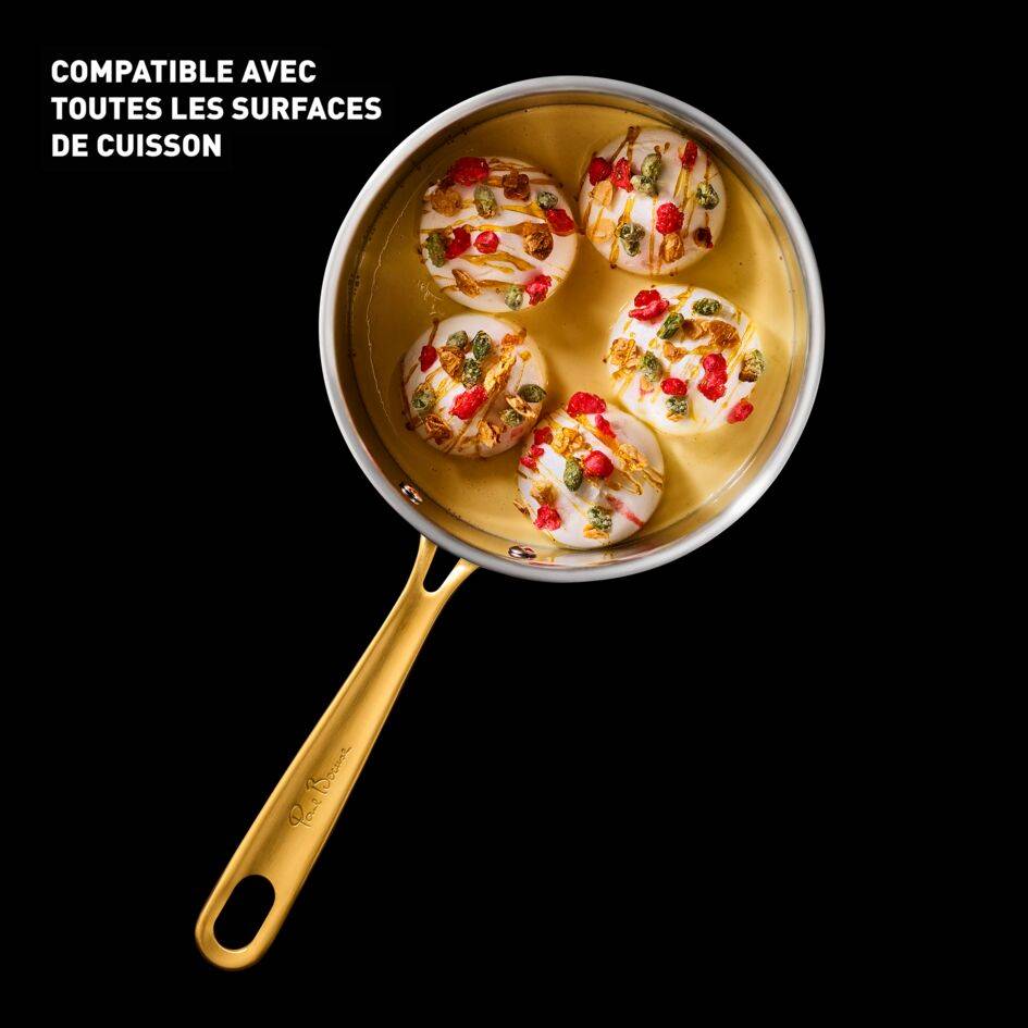 Tefal & Bocuse, Casserole de 16&nbsp;cm avec couvercle en verre, Acier inoxydable sans revêtement
