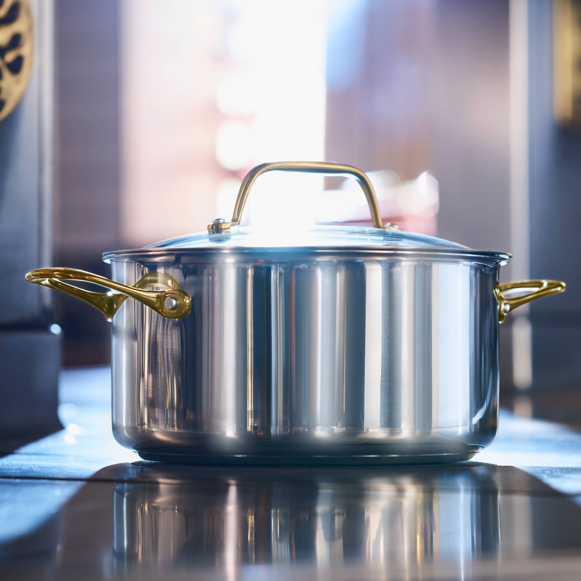 Tefal & Bocuse, Faitout de 24 cm avec couvercle en verre, Acier