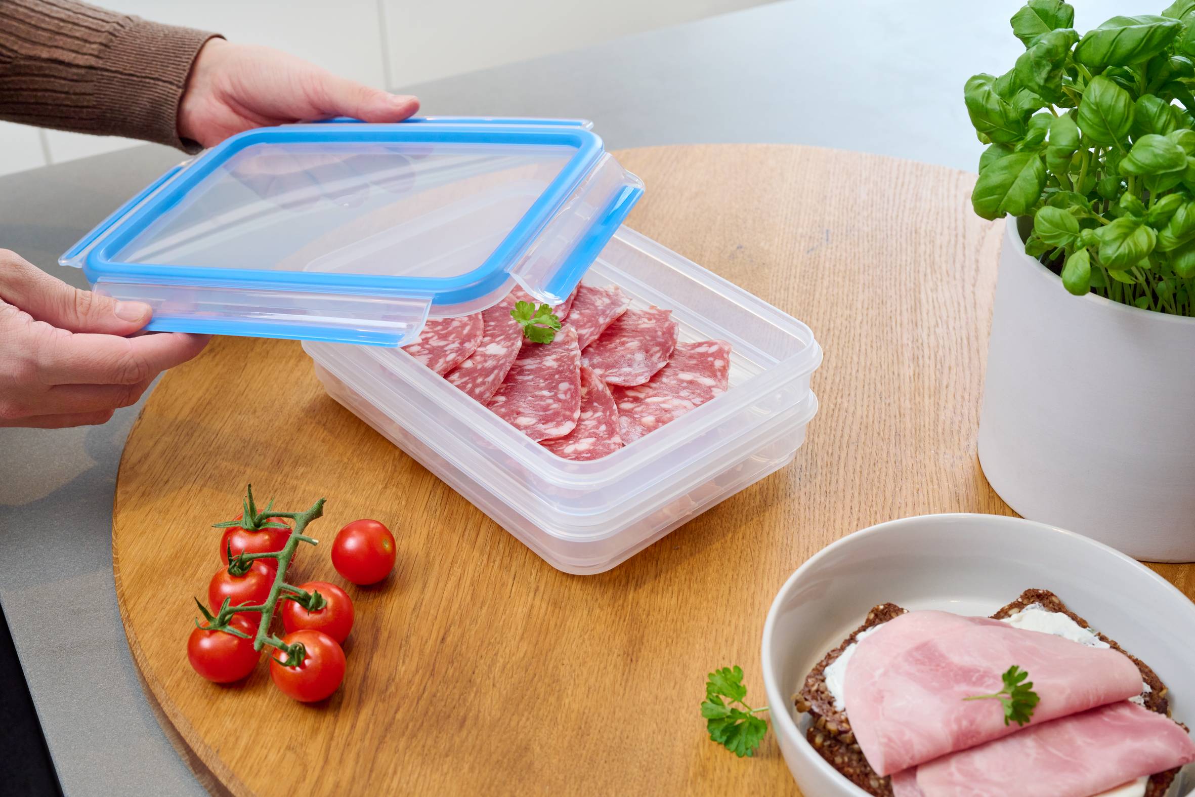 MASTERSEAL FRESH Lot de 2 boîtes de conservation alimentaire