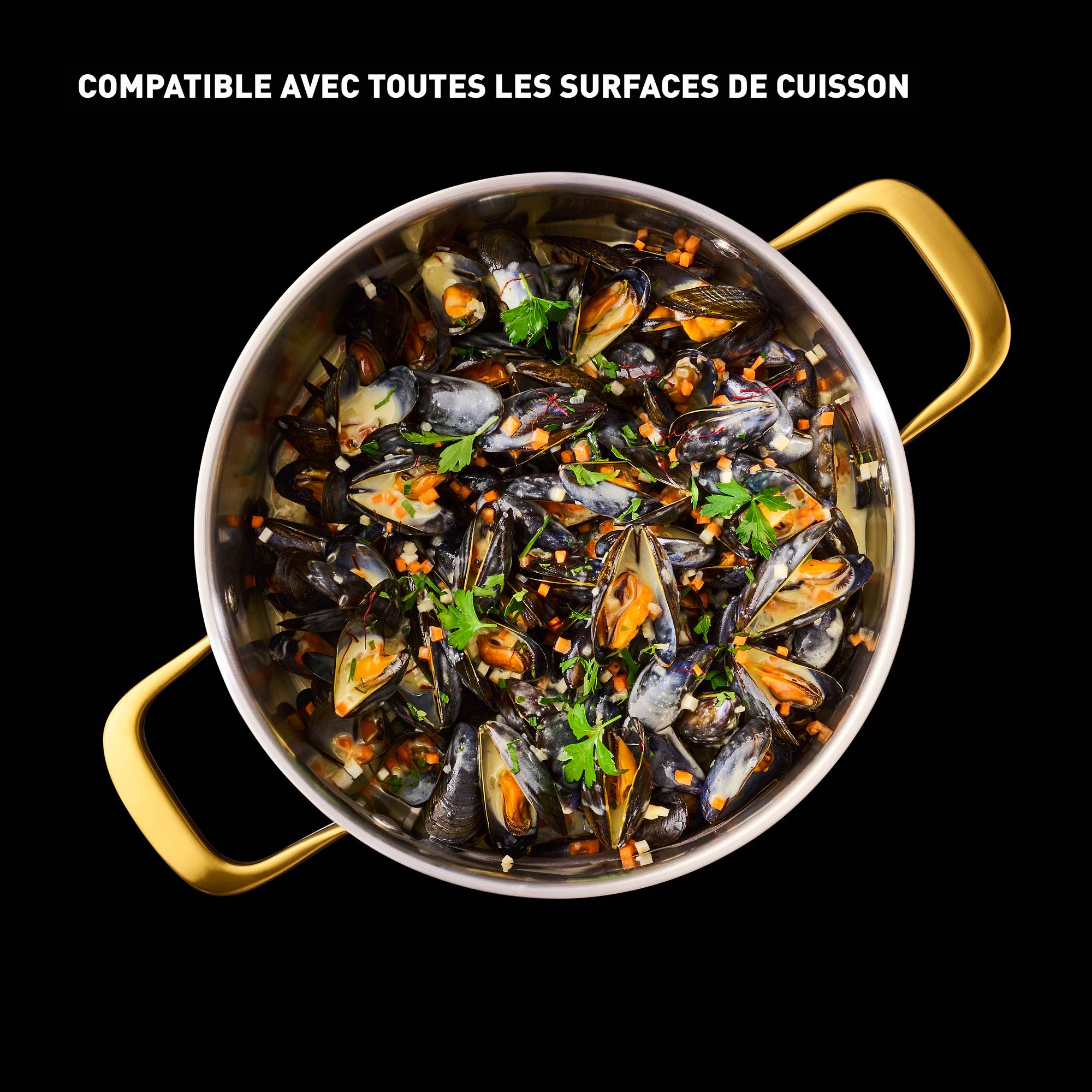 Tefal & Bocuse, Faitout de 24 cm avec couvercle en verre, Acier inoxydable sans revêtement