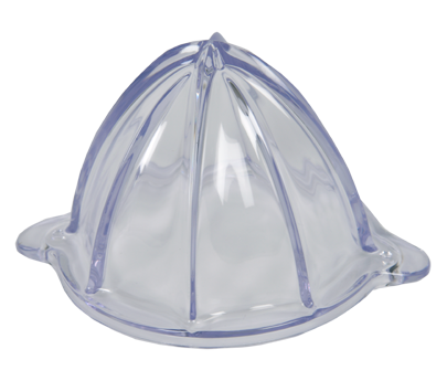 Grand Cône SS-203206