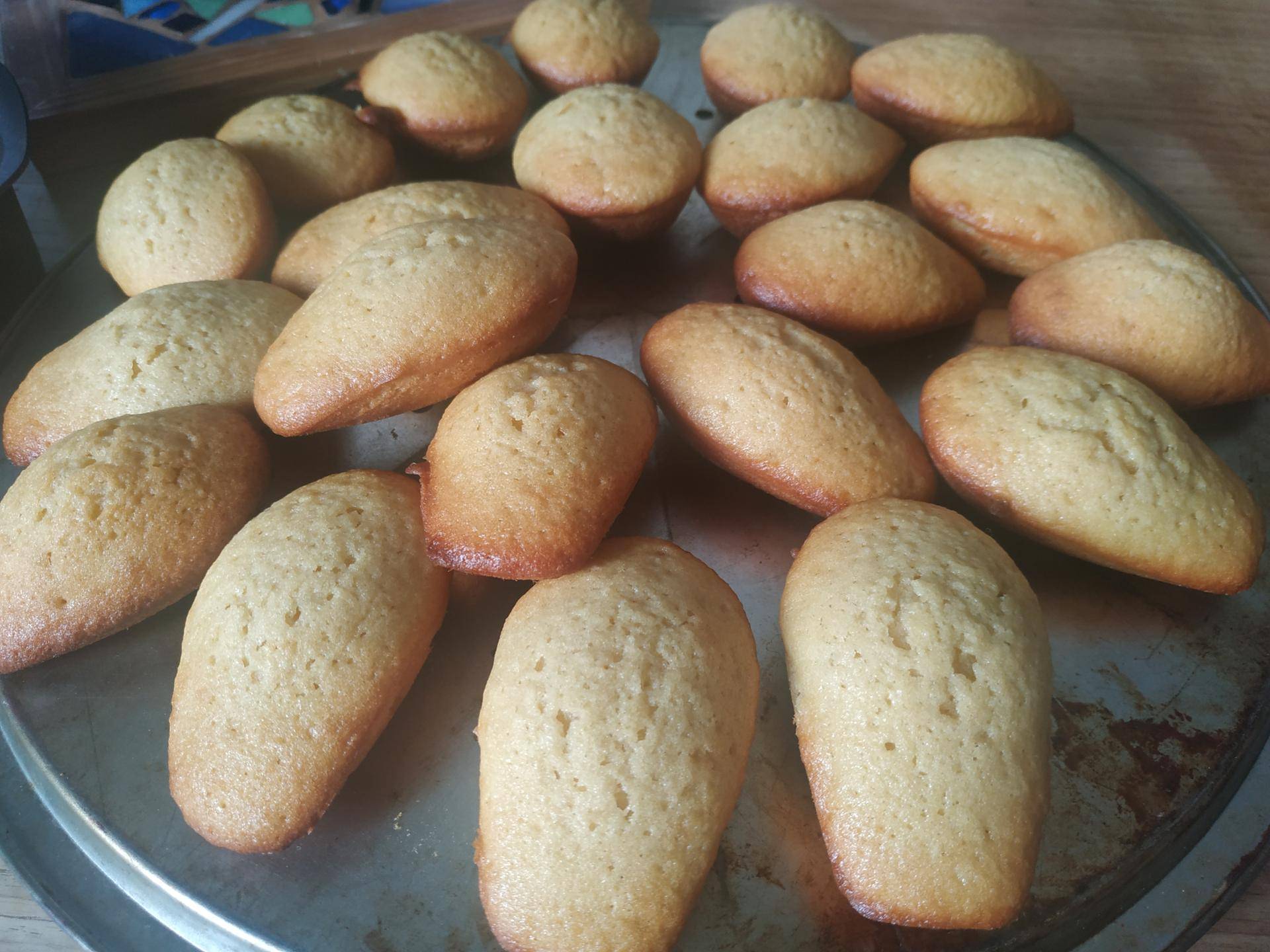 Madeleines au miel et poudre d'amande - Recette Cake Factory | Tefal