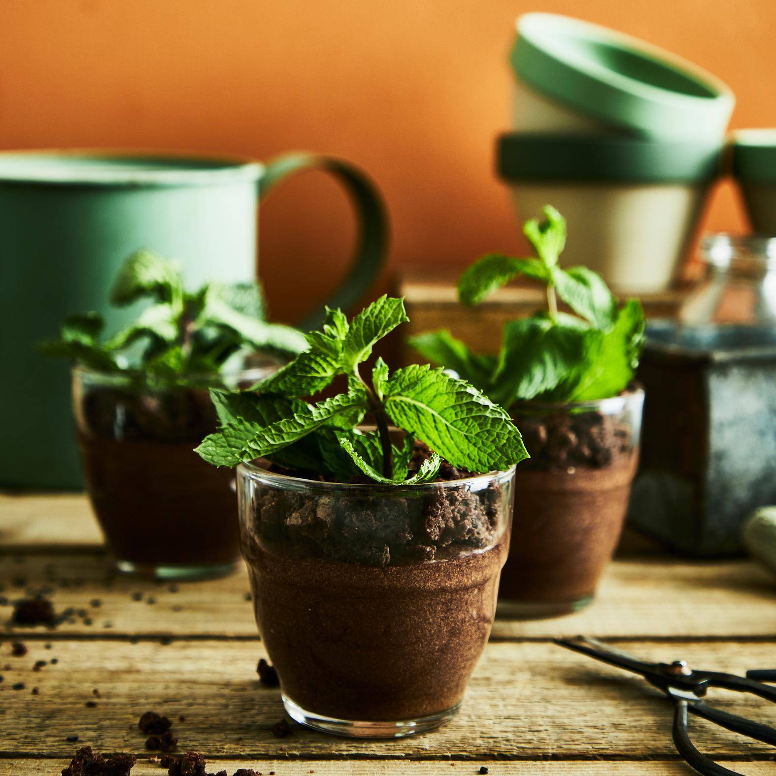 Pots de fleur au chocolat - Recette Cake Factory | Tefal