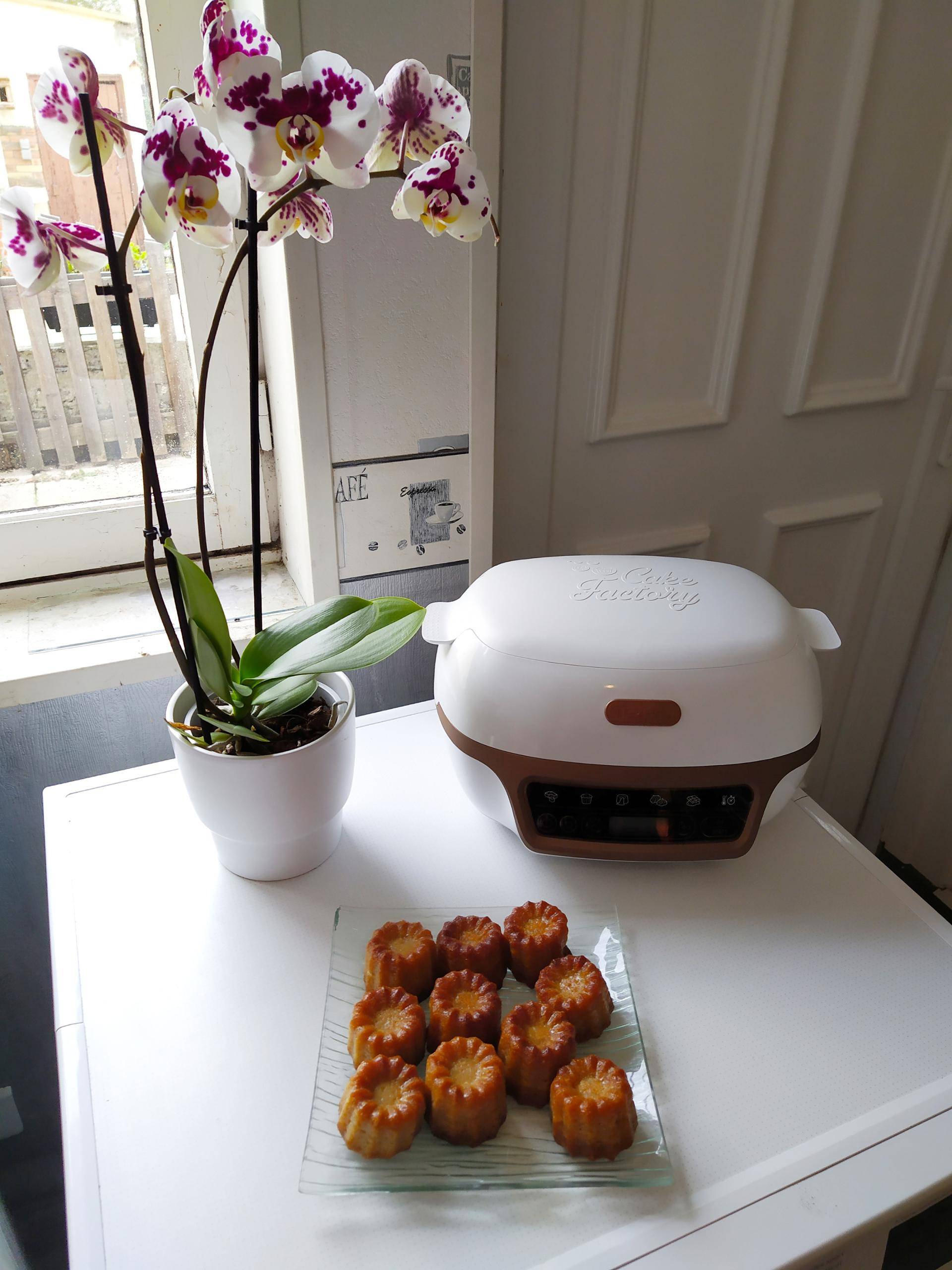 Cannelés sans lactose - Recette Cake Factory | Tefal