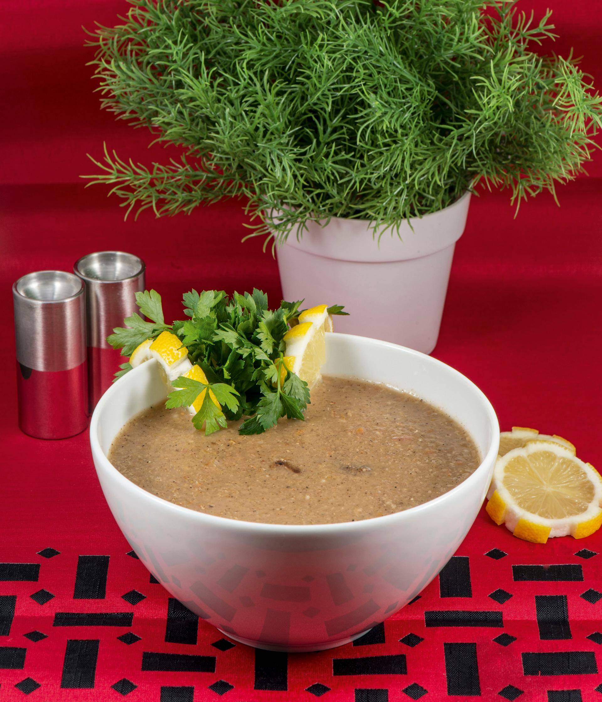 Soupe de viande et d'avoine - Recette Companion Connect | Tefal