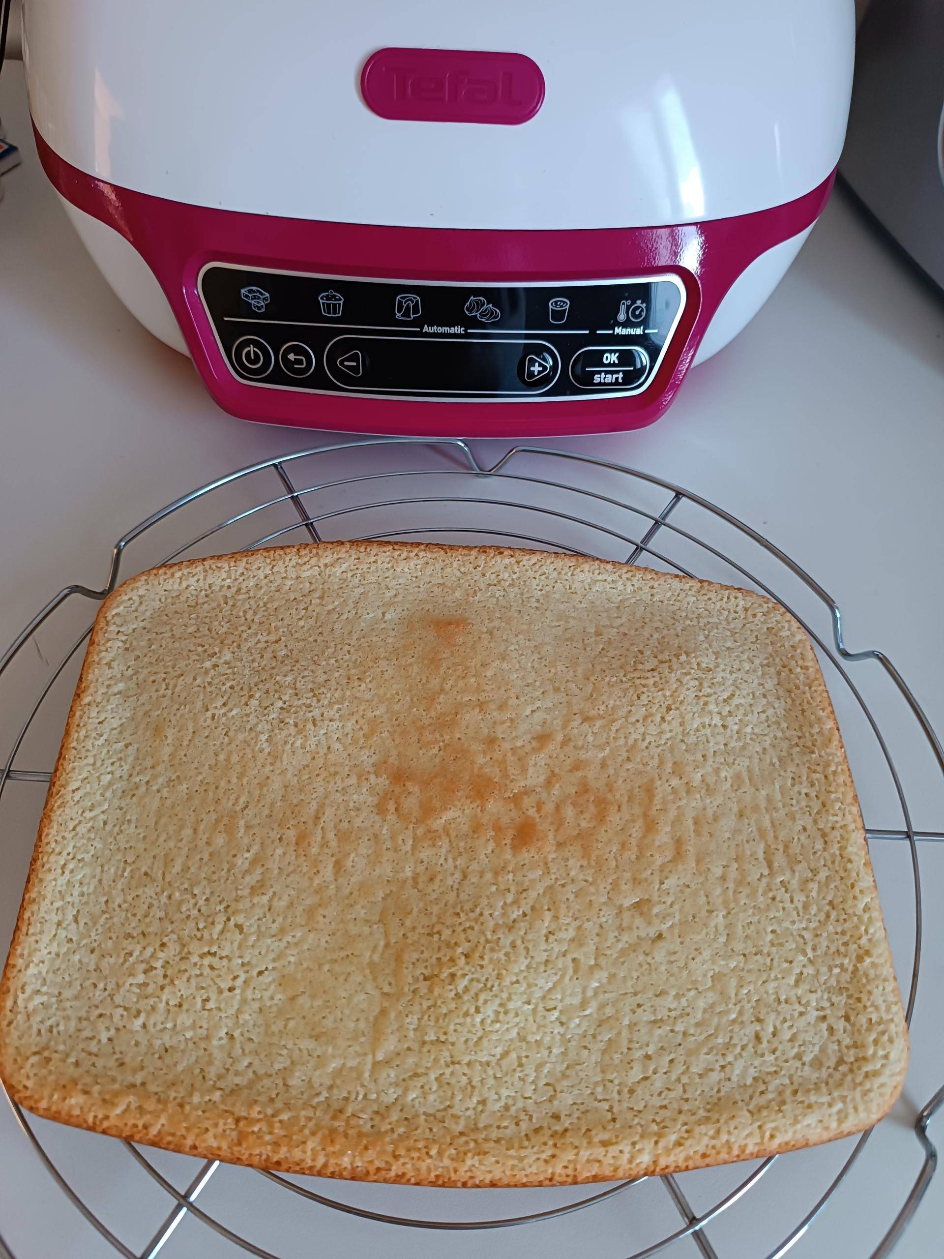 Gâteau léger à la noix de coco - Recette Cake Factory Délices | Tefal