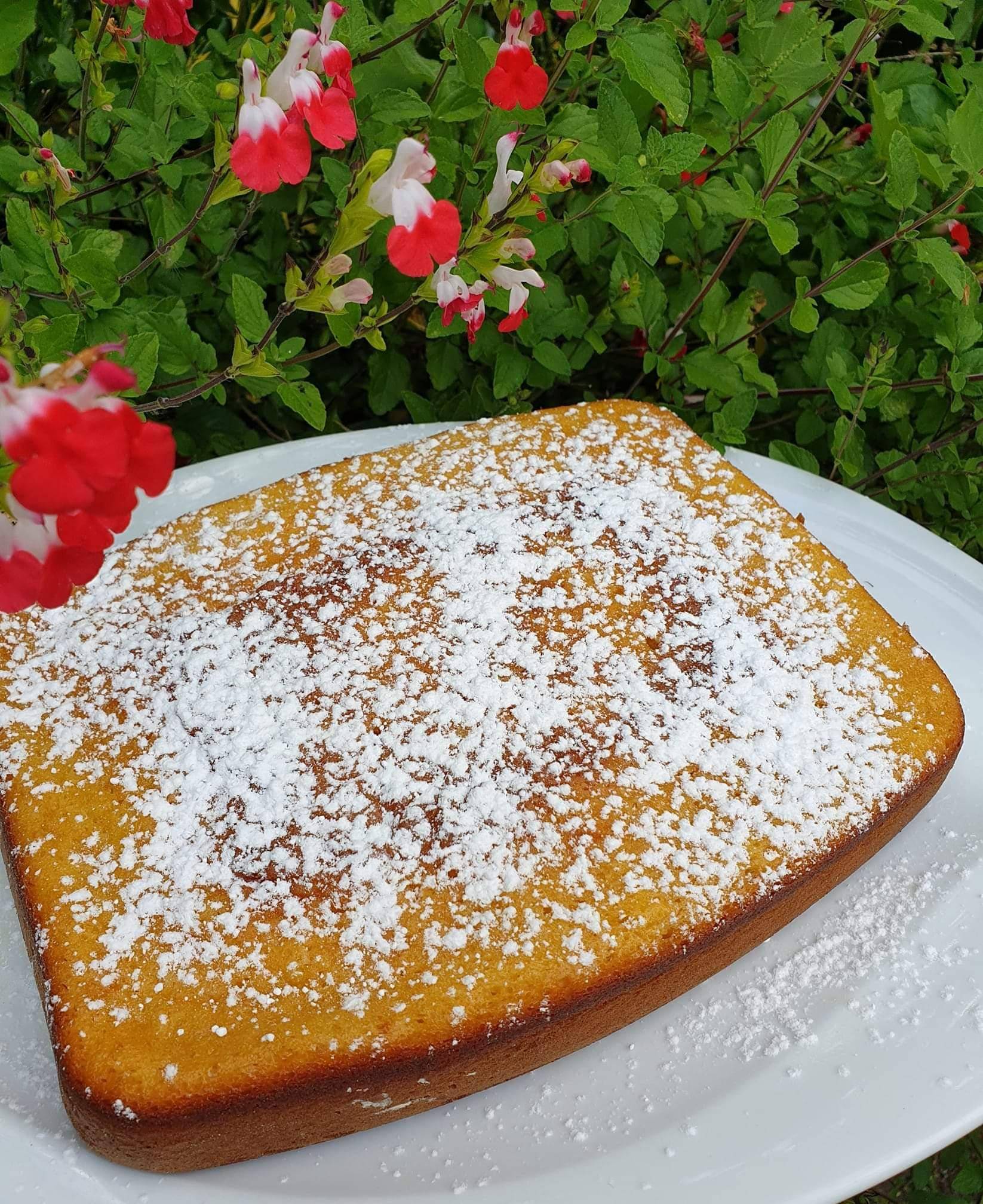 Gâteau à la Danette vanillée - Recette Cake Factory | Tefal