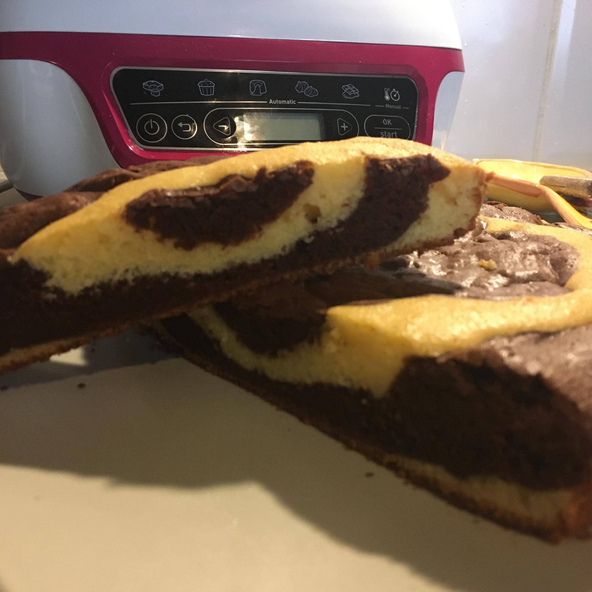 Gâteau façon savane - Recette Cake Factory | Tefal