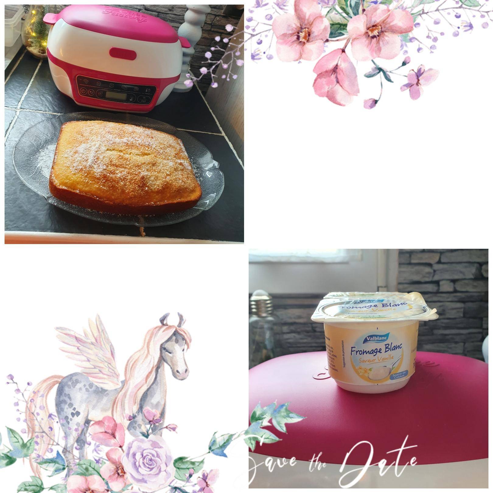 Gâteau fromage blanc vanille et noix de coco - Recette Cake Factory | Tefal