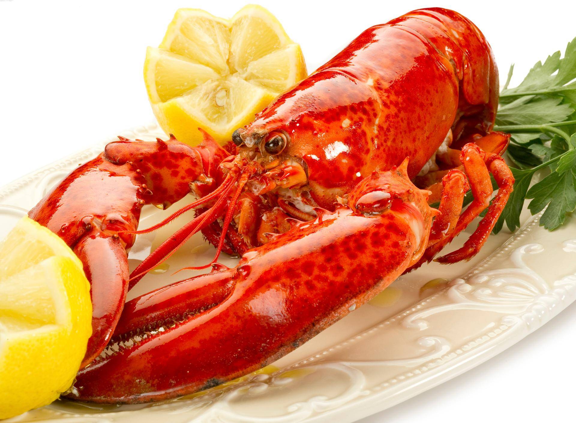 Queues de homard grillées au beurre et au vin blanc - Recette undefined | Tefal